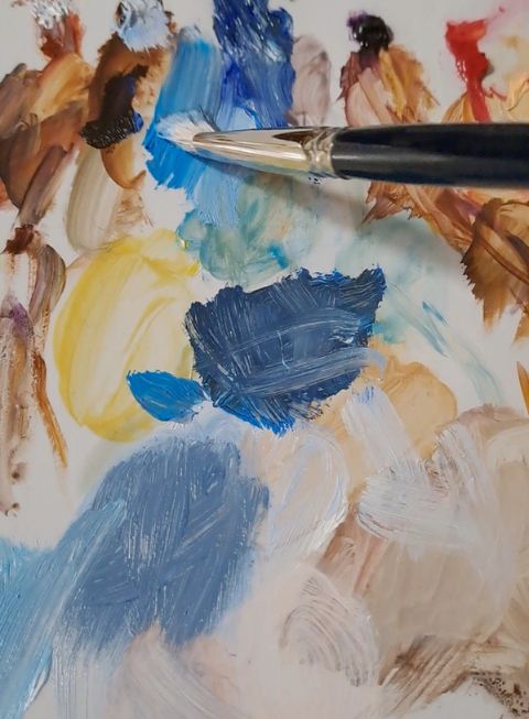 contacta 2 Rocío Vazquez