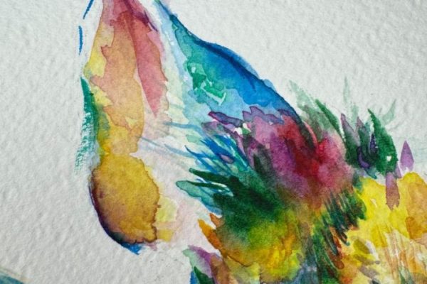 Contacto 2 Rocío Vázquez