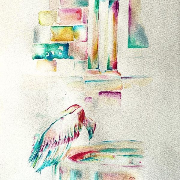 Acuarela "La fragilidad de un buitre"