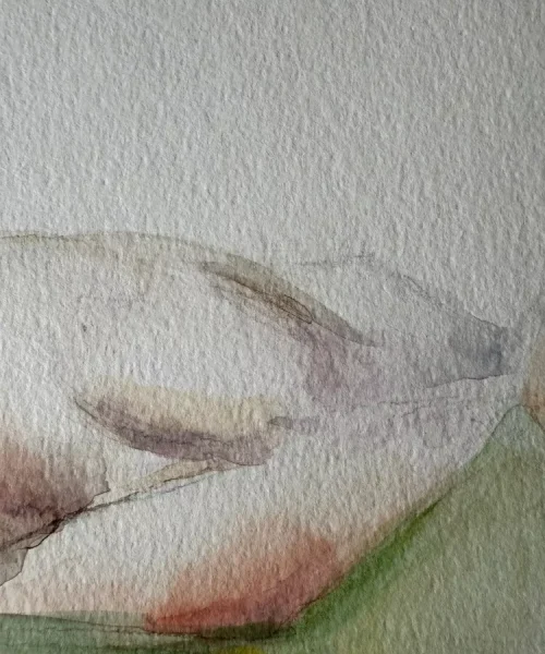 Rocio Vazquez ART - Acuarelas con Agudo - Siesta de primavera 2 6