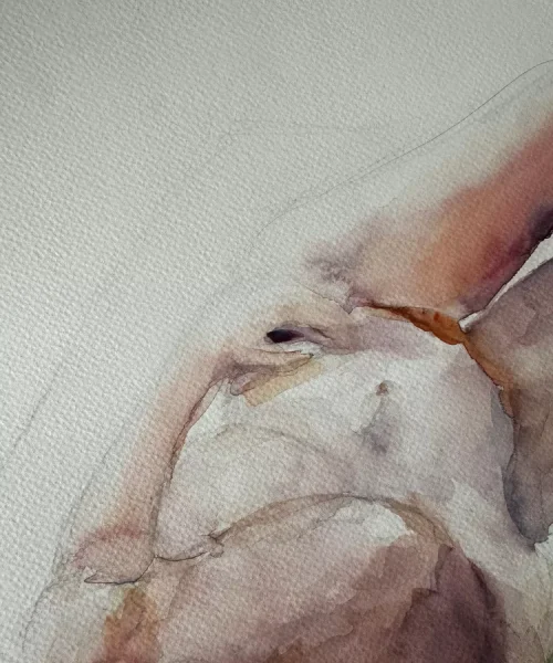 Rocio Vazquez ART - Acuarelas con Agudo - Siesta de primavera 5